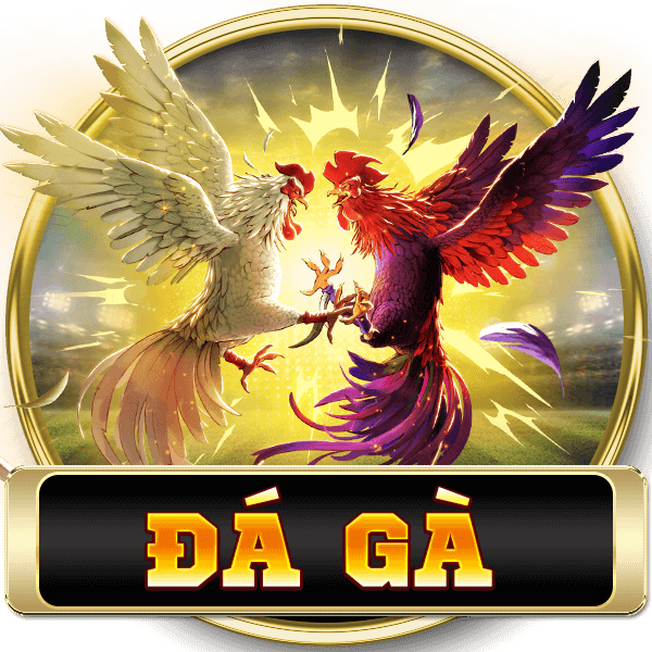 đá gà hubet